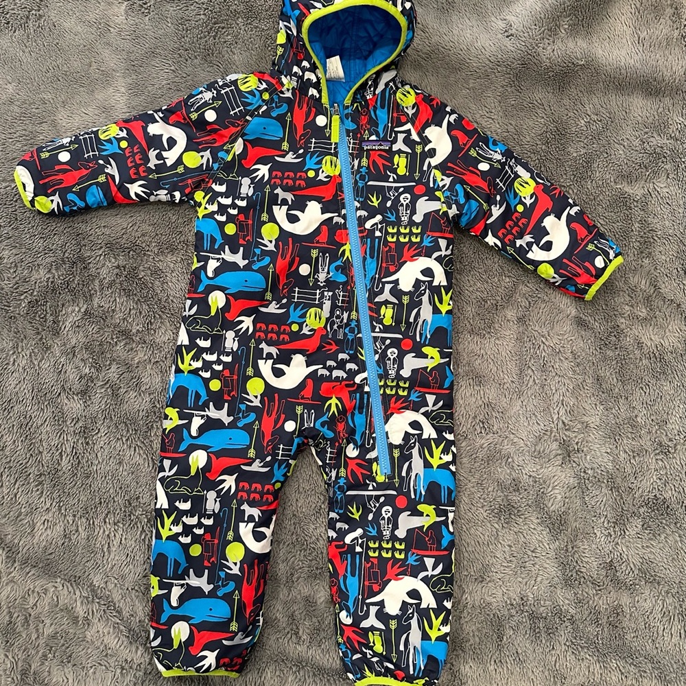 Patagonia reversible snowsuit